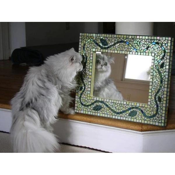 Double Strength Mirror - Image 4