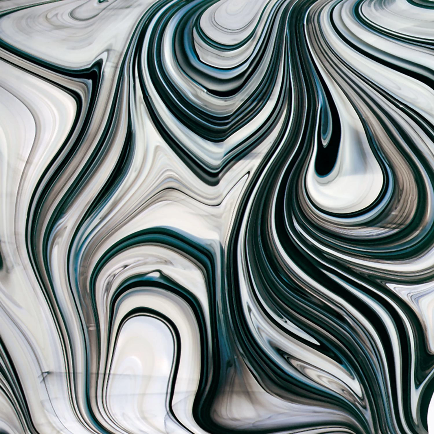 Oceanside Black, White On Clear Baroque - Image 3