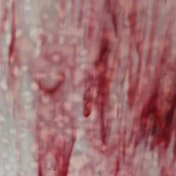 Youghiogheny White Opal And Double Pink Reproduction