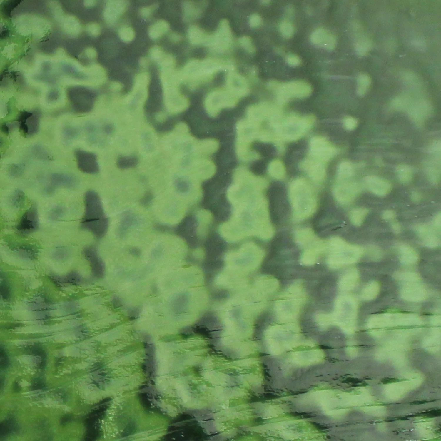 Youghiogheny Emerald Green Opal Mottle - Image 10