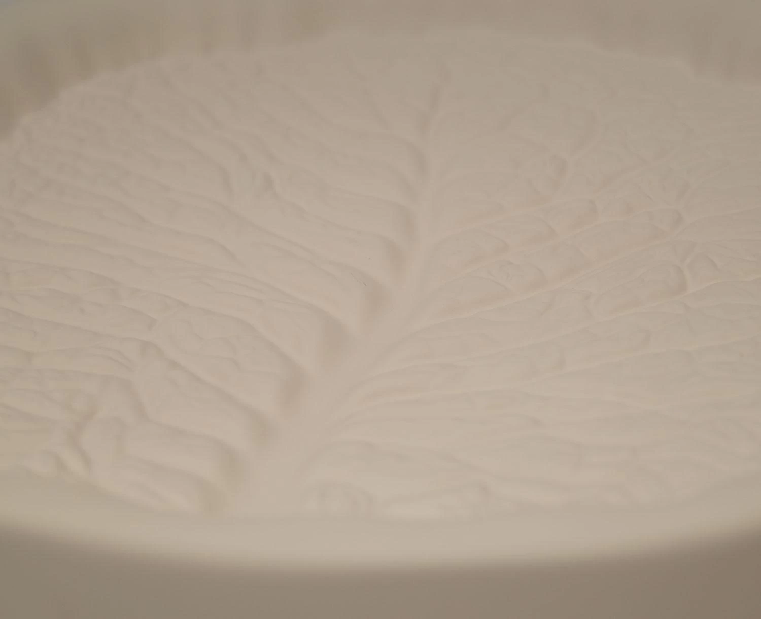 Cabbage Leaf Casting Mold - Image 4