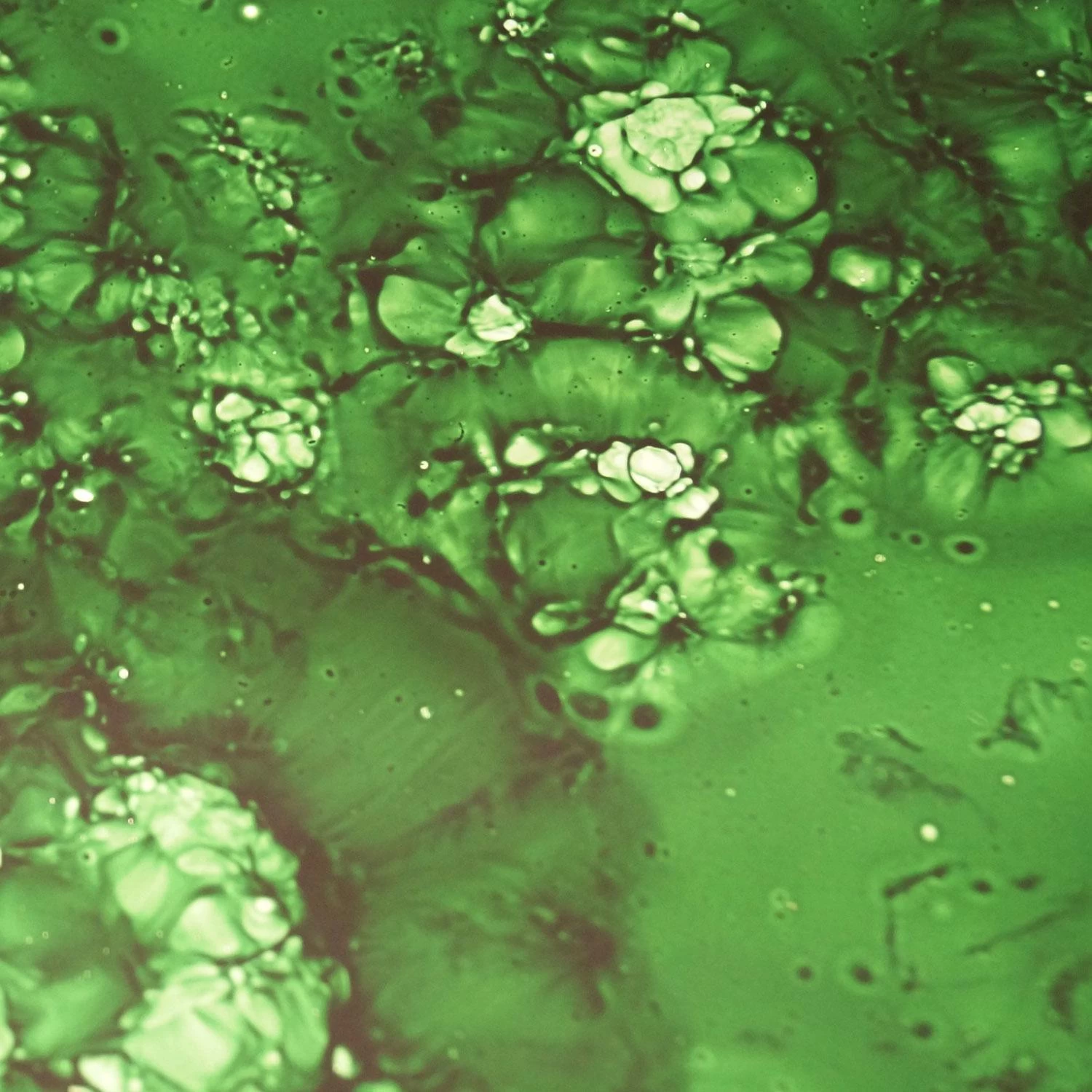 MLW Vivid Emerald Mirror