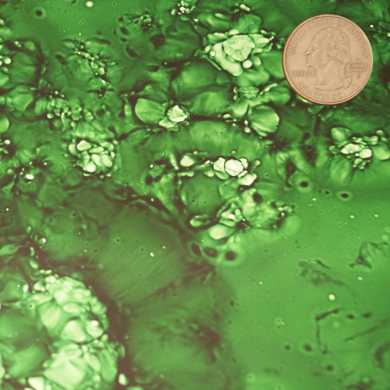 MLW Vivid Emerald Mirror - Image 3