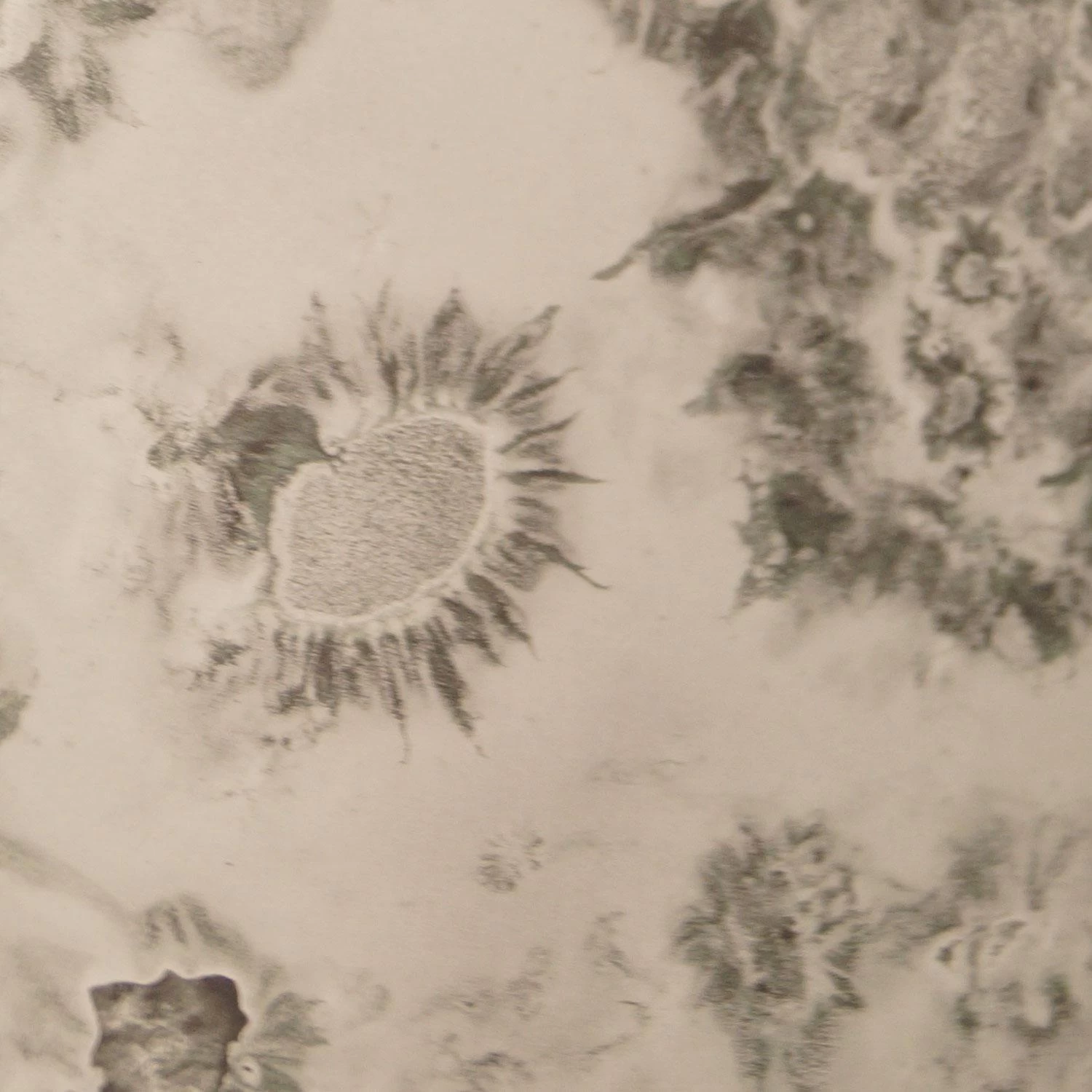 MLW Vivid Silver Mirror - Image 2