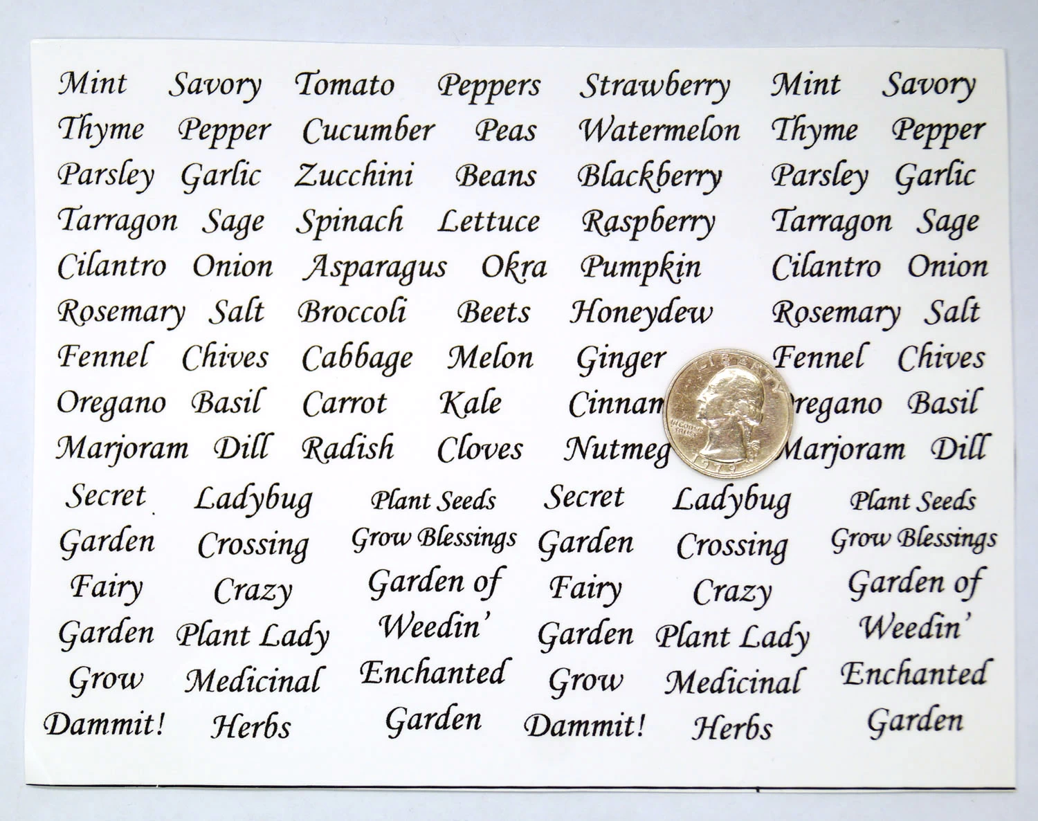 Garden Words Black Enamel Decals - Image 3