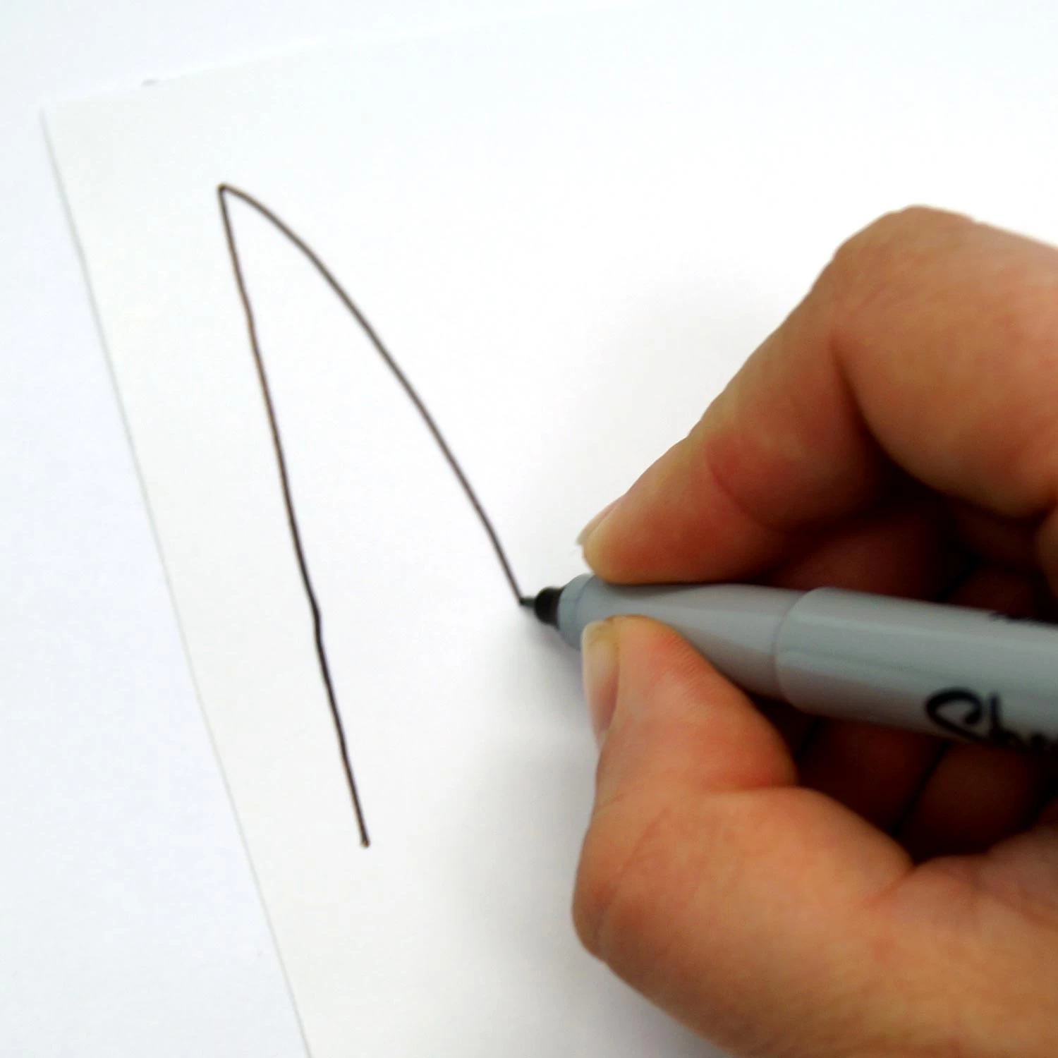 22" Wide Piper's Pattern Paper - Image 4