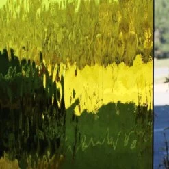 Oceanside Yellow Transparent Waterglass