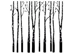 Birch Trees Black Enamel Decal