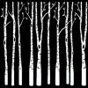 Birch Trees White Enamel Decal