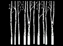 Birch Trees White Enamel Decal