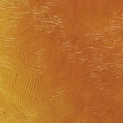 Kokomo Medium Amber Transparent Vertigo