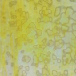 Uro Lemon Yellow, Golden Yellow And White Mottle