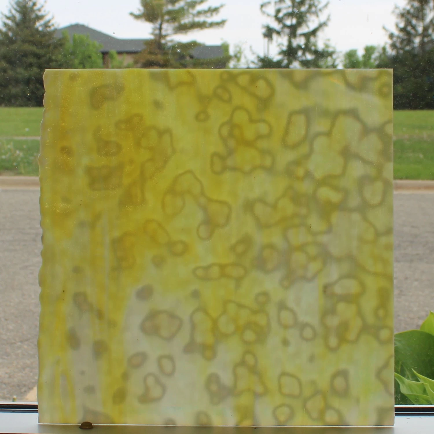 Uro Lemon Yellow, Golden Yellow And White Mottle - Image 2