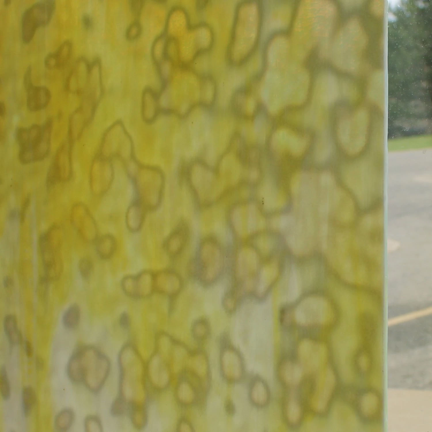 Uro Lemon Yellow, Golden Yellow And White Mottle - Image 3