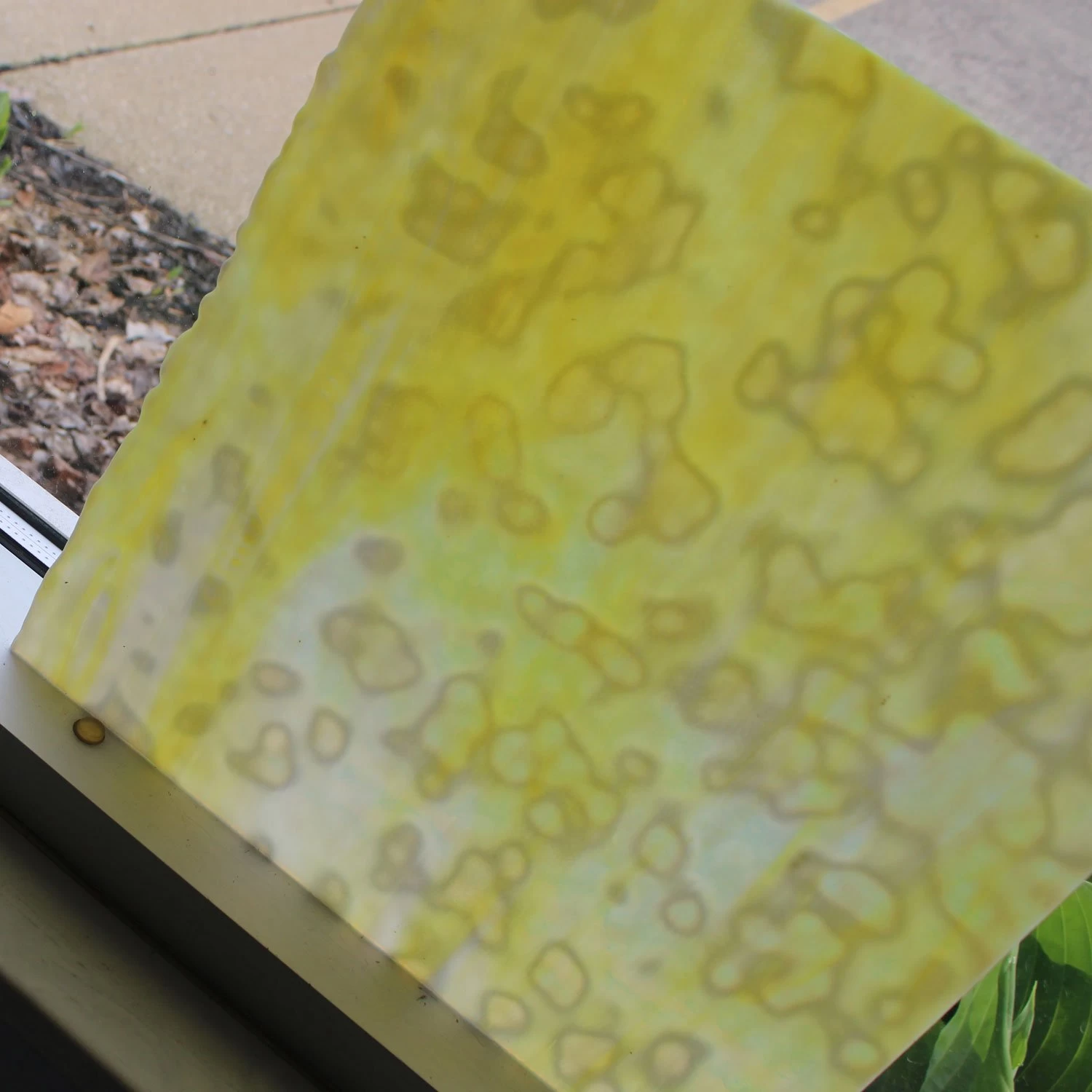 Uro Lemon Yellow, Golden Yellow And White Mottle - Image 4