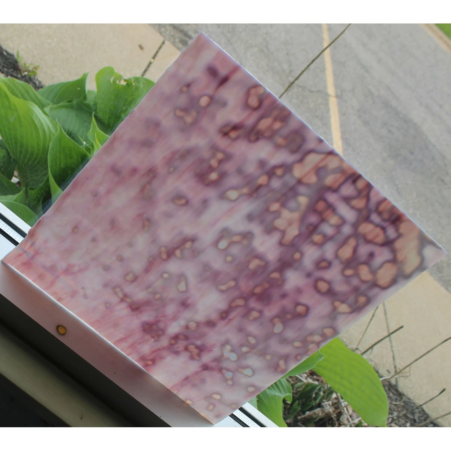 Uro Gold-Purple And White Mottle - Image 4