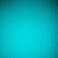 Wissmach Medium Teal Blue/Green