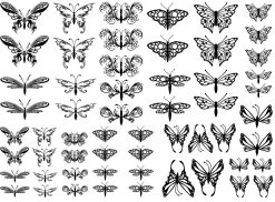 Butterflies And Dragonflies Black Enamel Decals