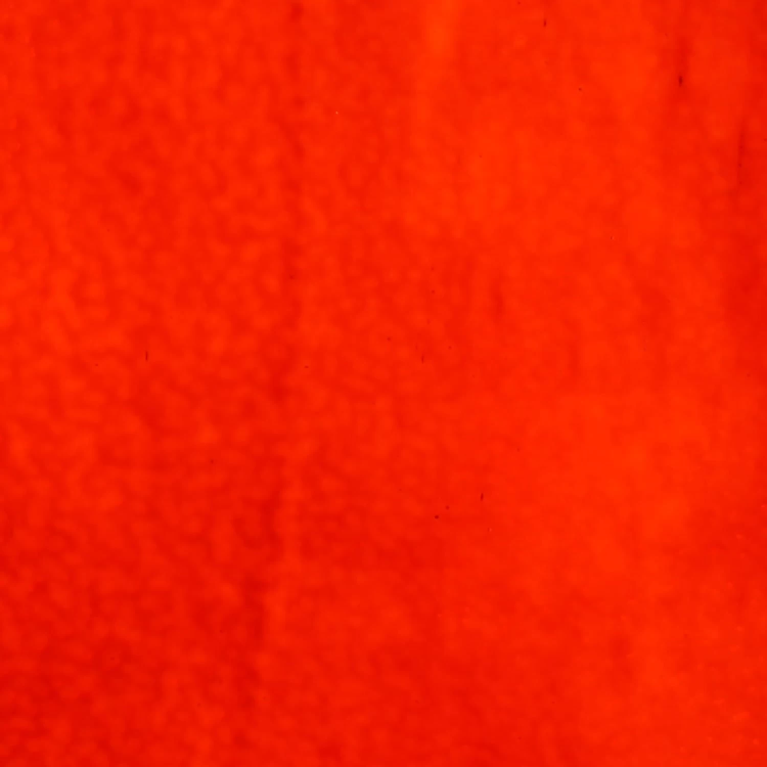 Wissmach Light Orange Corella Classic - Image 2