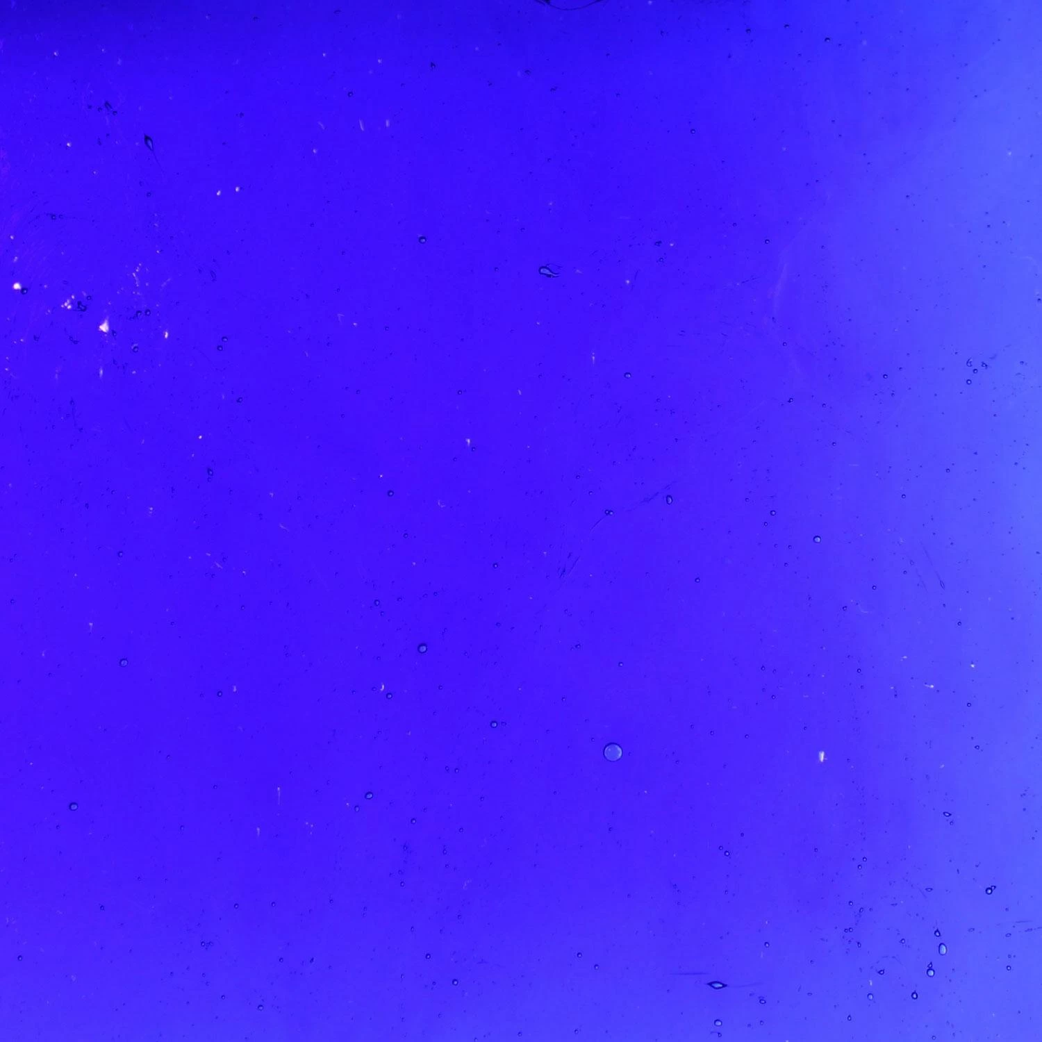 Tiffany Today Cobalt Blue Transparent