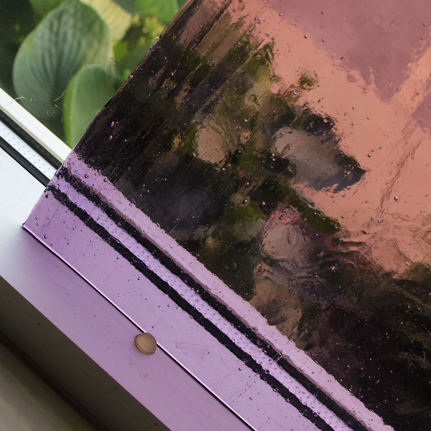 Tiffany Today Grape Soda Transparent - Image 4