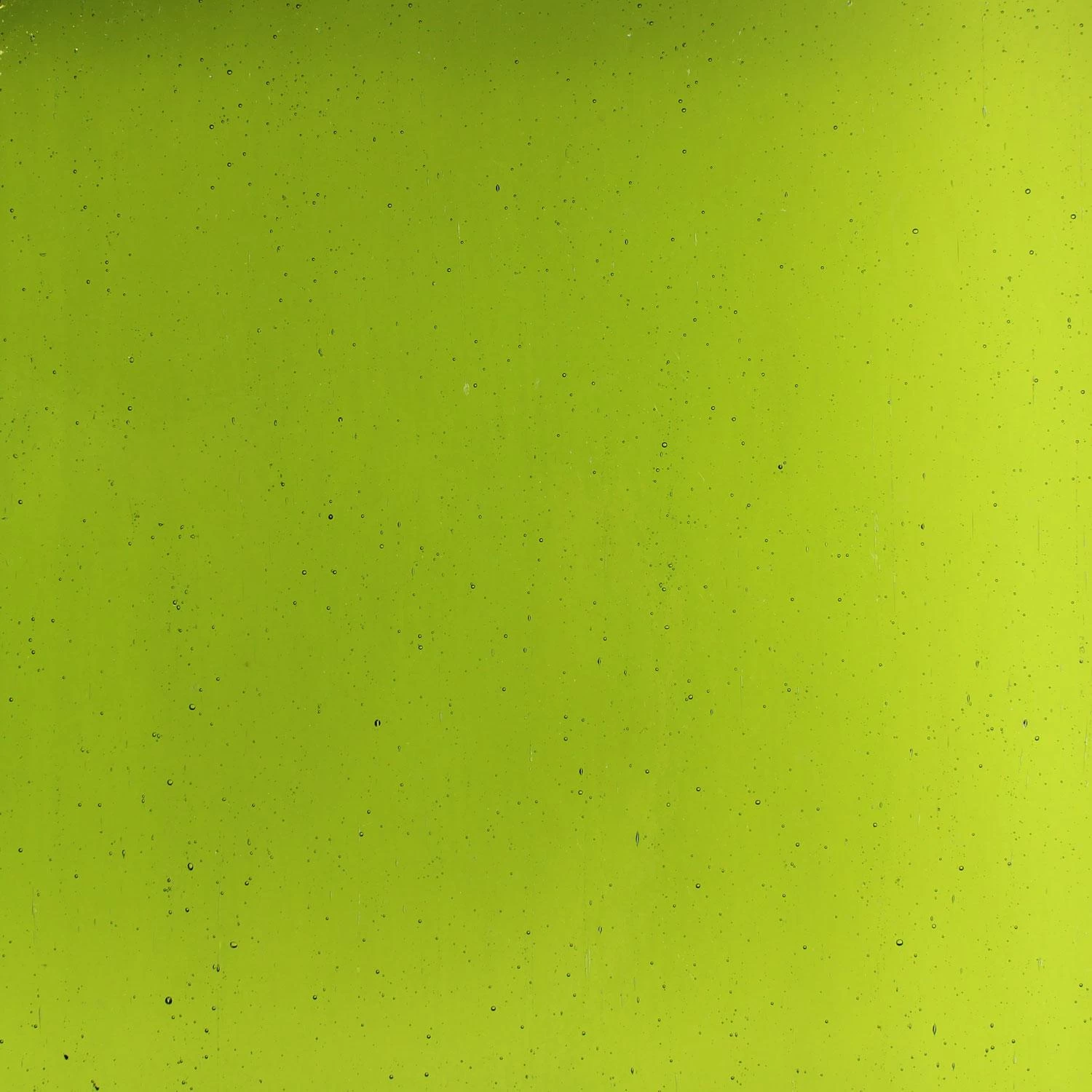 Tiffany Today Chartreuse Transparent