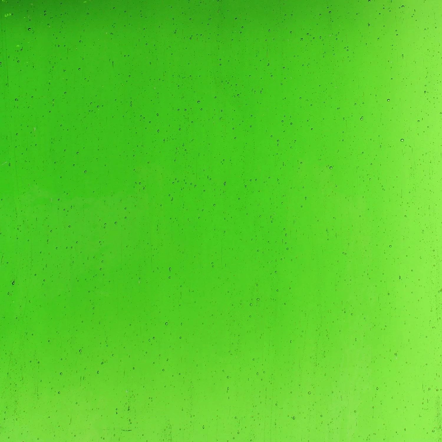 Tiffany Today Grass Transparent