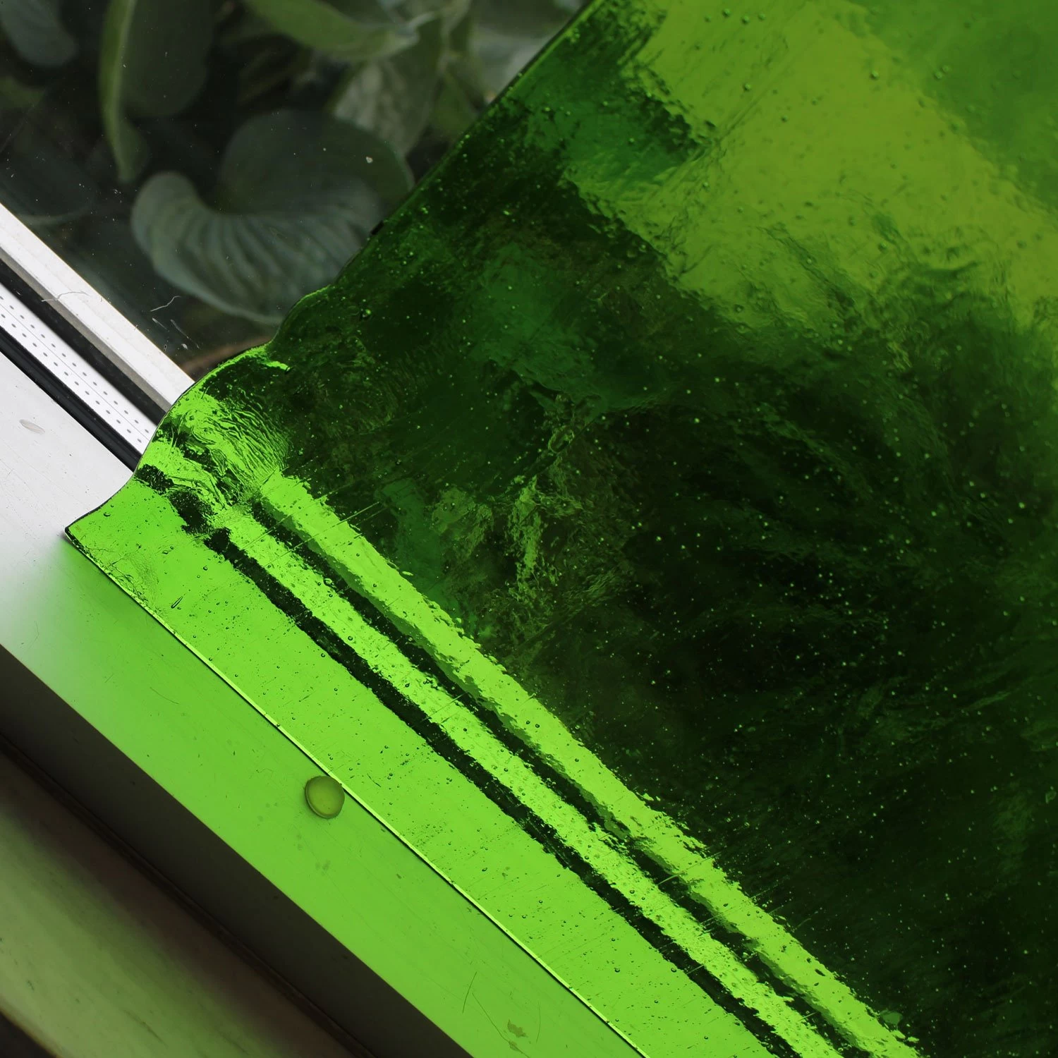 Tiffany Today Grass Transparent - Image 4