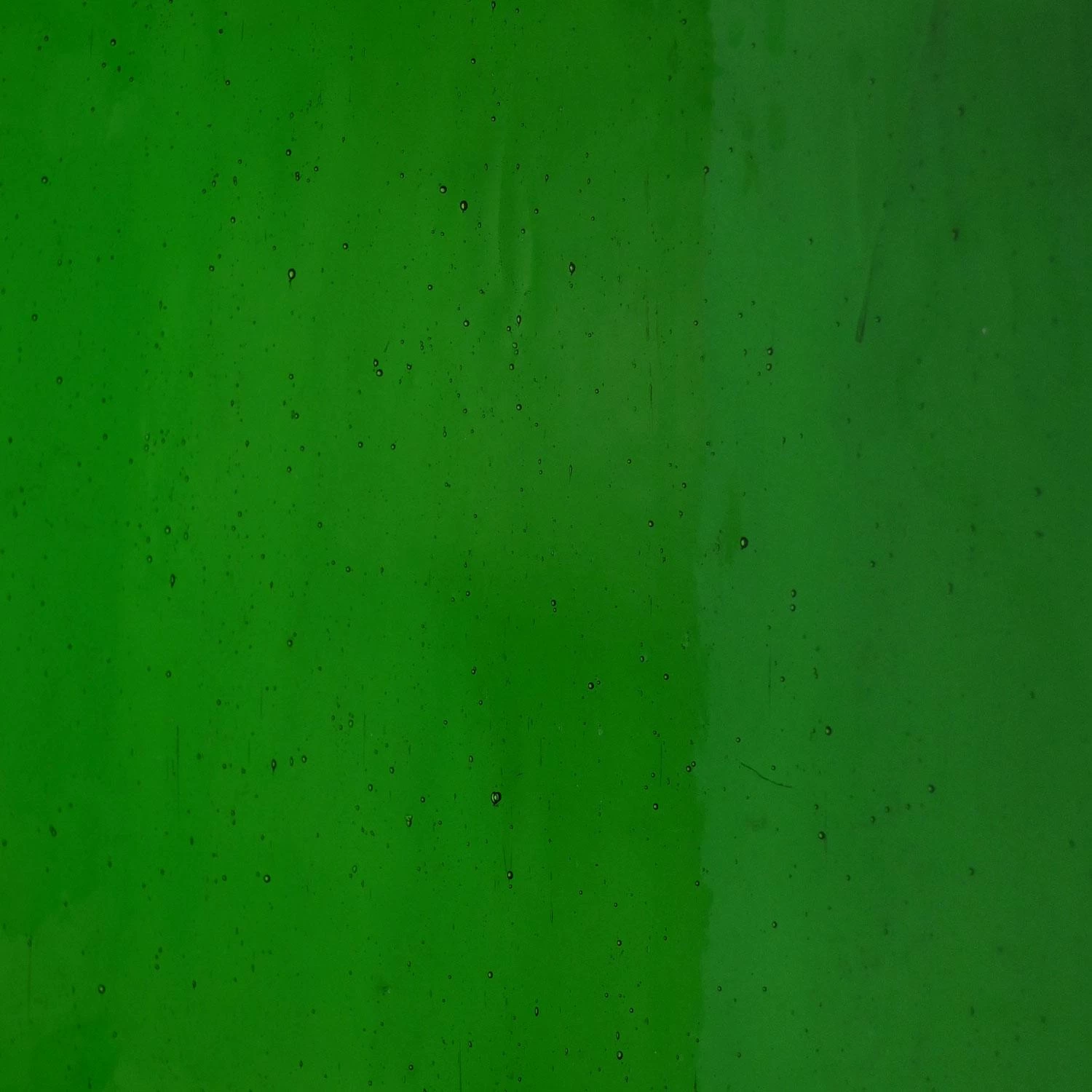 Tiffany Today Four Leaf Clover Transparent