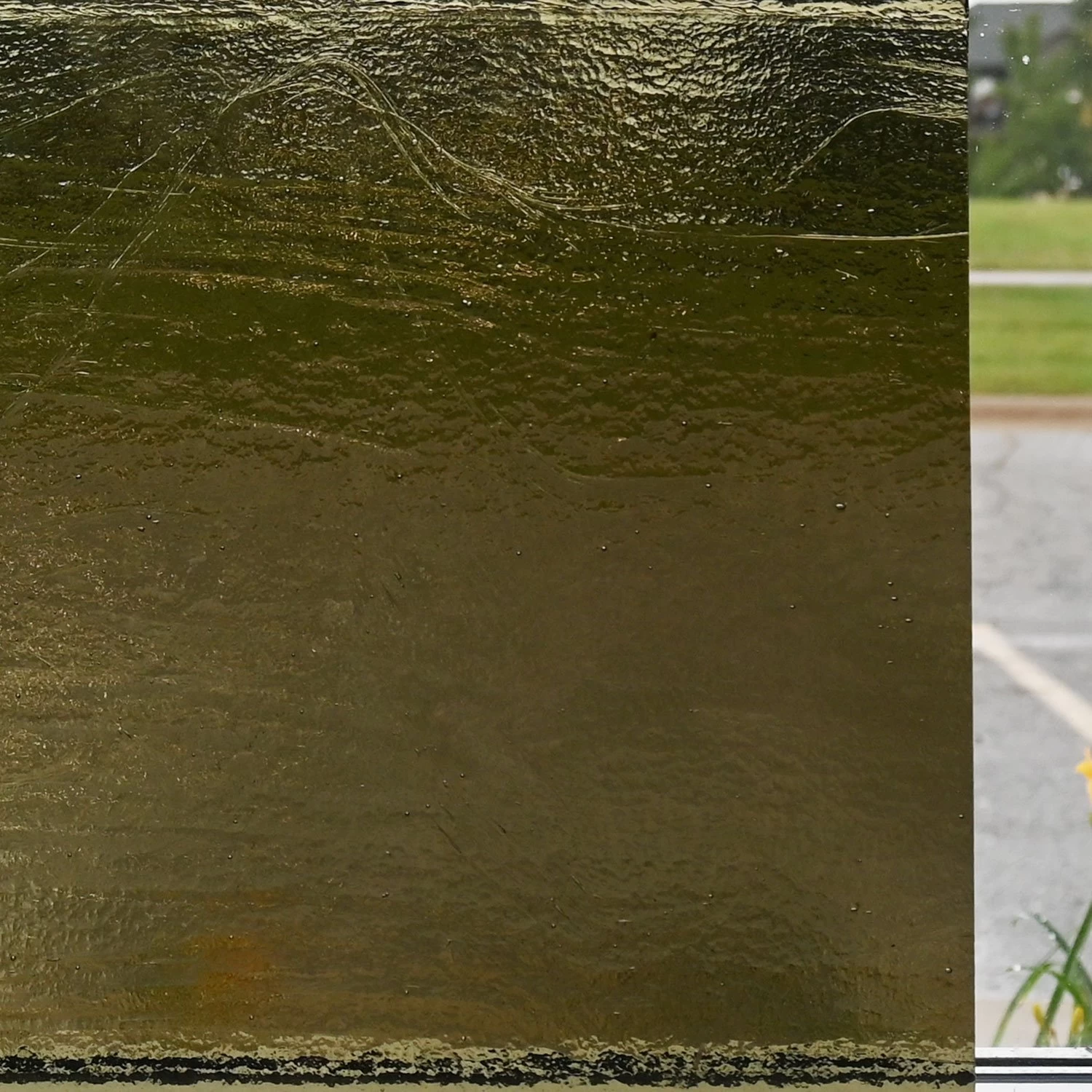 Delphi Superior Mushroom Transparent - 90 COE - Image 6