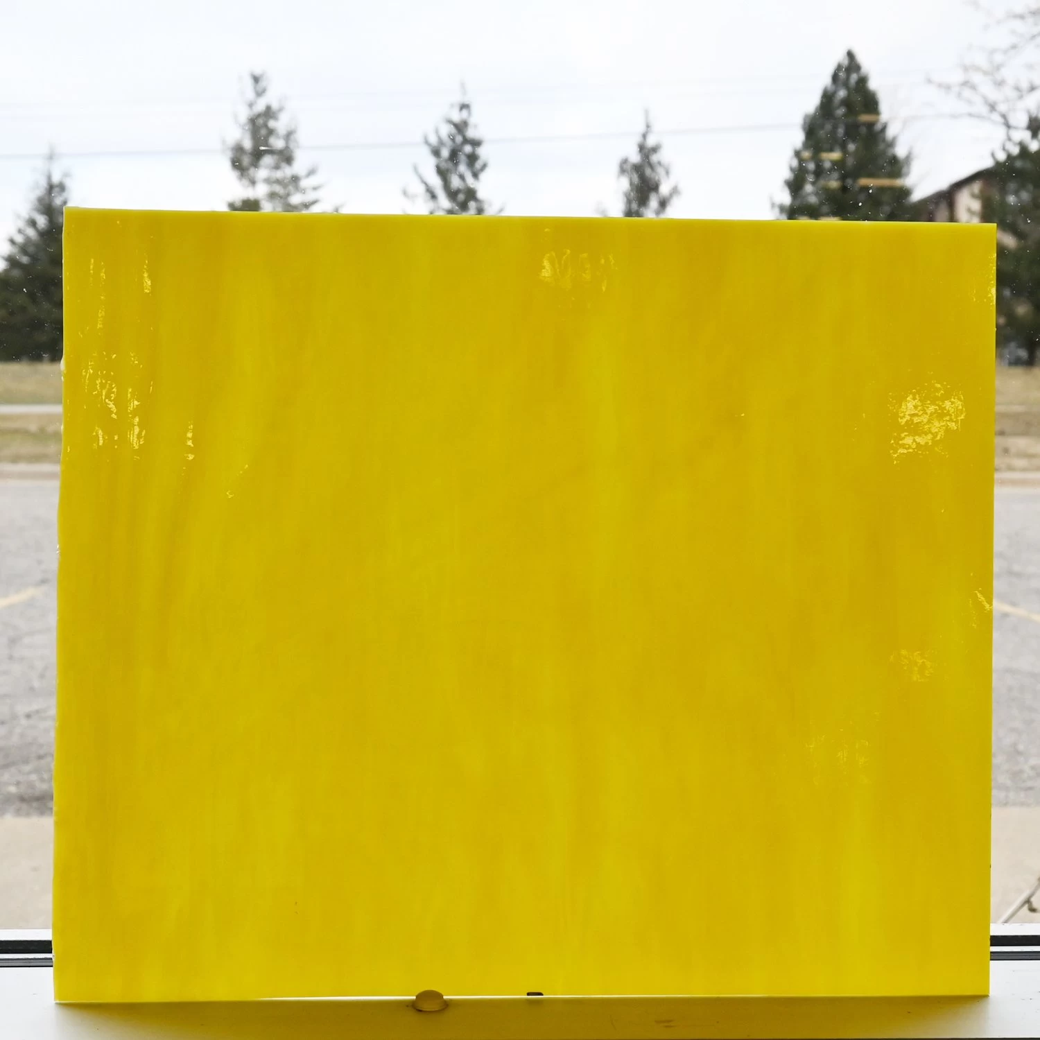 Tiffany Today Yellow Opal - Image 4