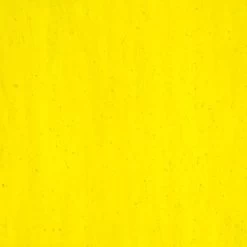 Tiffany Today Yellow Transparent